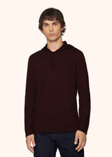 SWEATSHIRT HOODED CASHMERE